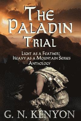 bokomslag Paladin Trial