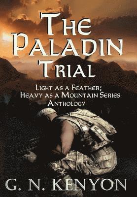 bokomslag Paladin Trial