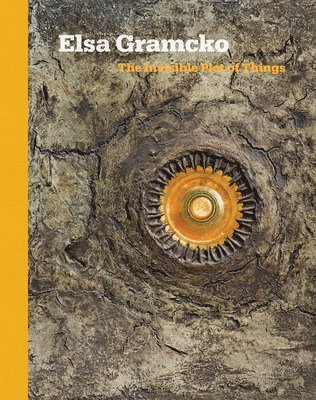 bokomslag Elsa Gramcko: The Invisible Plot of Things