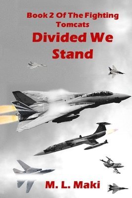 Divided We Stand 1