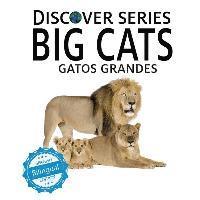 Xist Publishing - Gatos Grandes/Big Cats, Häftad