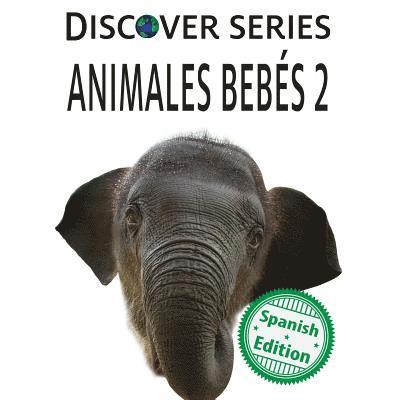 Xist Publishing - Animales Bebes 2, Häftad