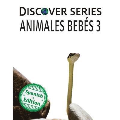 Xist Publishing - Animales Bebes 3, Häftad