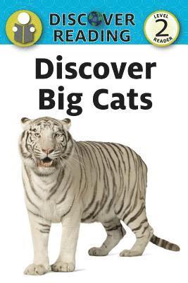Katrina Streza - Discover Big Cats, Häftad