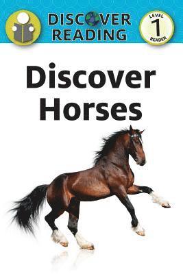 Discover Horses 1