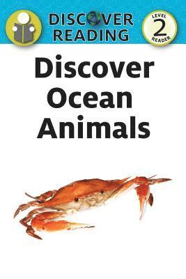 bokomslag Discover Ocean Animals