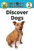 bokomslag Discover Dogs: Level 2 Reader