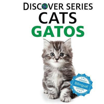 Cats / Gatos 1