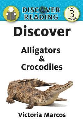 Victoria Marcos - Discover Alligators & Crocodiles, Häftad