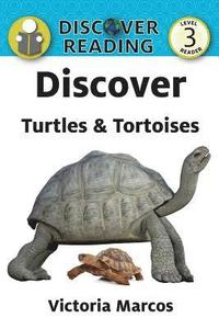 bokomslag Discover Turtles & Tortoises