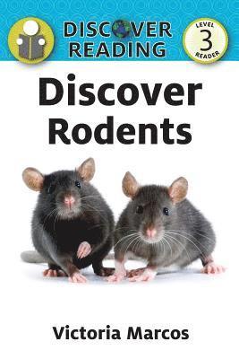 Discover Rodents 1