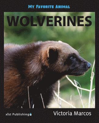 Victoria Marcos - My Favorite Animal, Häftad