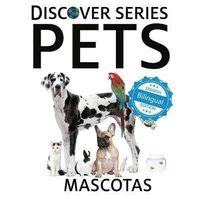 Pets / Mascotas 1