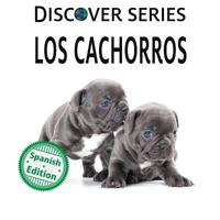 bokomslag cachorros