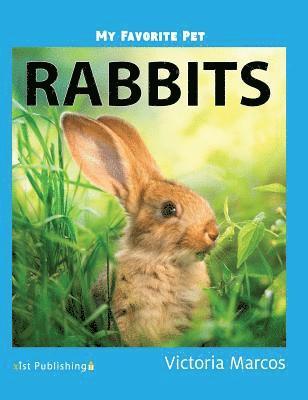bokomslag Rabbits