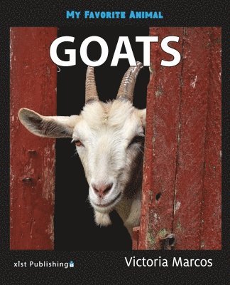 My Favorite Animal 1