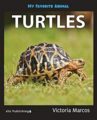 My Favorite Animal 1