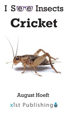 bokomslag Cricket