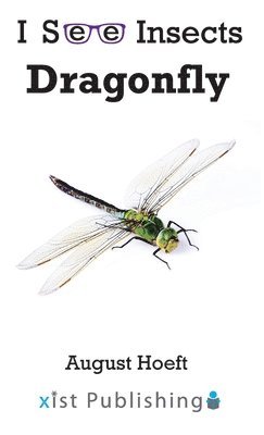 bokomslag Dragonfly