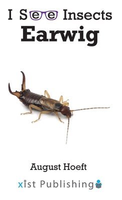 bokomslag Earwig