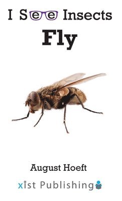 Fly 1