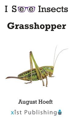 bokomslag Grasshopper