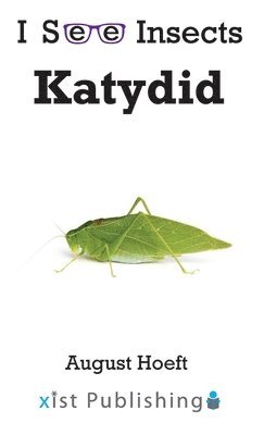 bokomslag Katydid