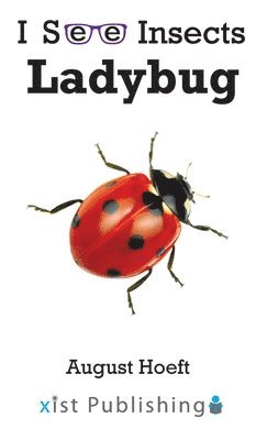 bokomslag Ladybug