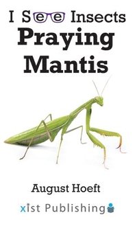 bokomslag Praying Mantis