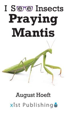 Praying Mantis 1