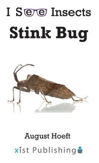 bokomslag Stink Bug