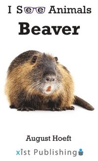 bokomslag Beaver