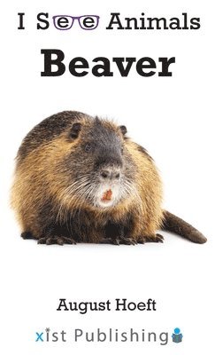 Beaver 1