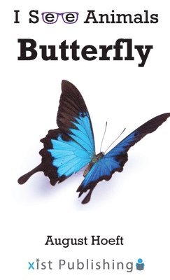 Butterfly 1