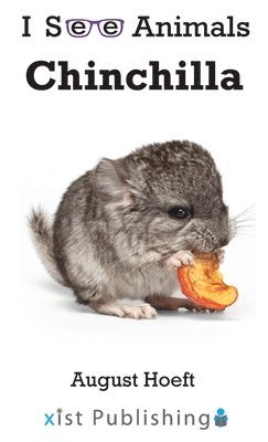 bokomslag Chinchilla