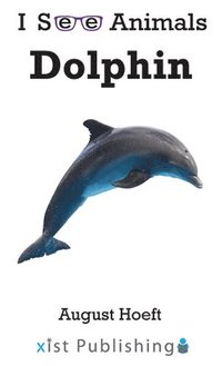 bokomslag Dolphin