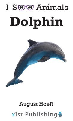 Dolphin 1