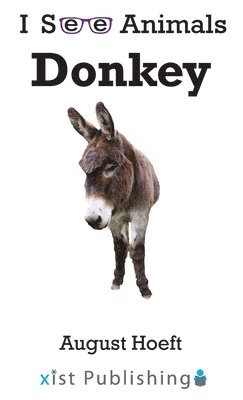 bokomslag Donkey