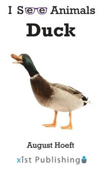 bokomslag Duck