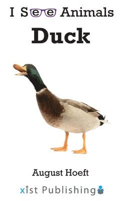 Duck 1