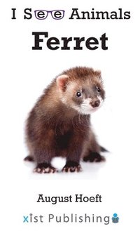 bokomslag Ferret