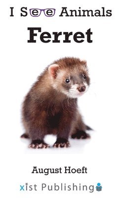 Ferret 1