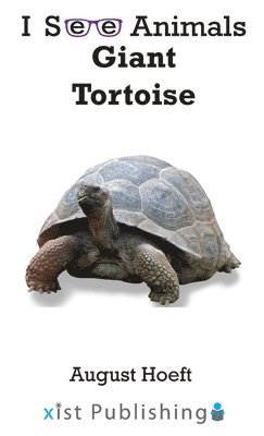 Giant Tortoise 1