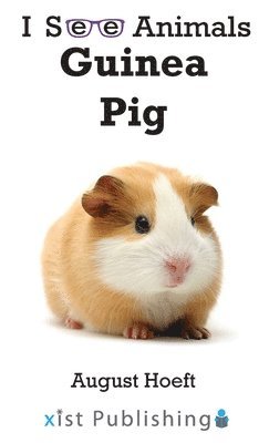 bokomslag Guinea Pig