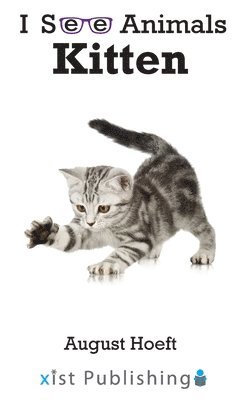 August Hoeft - Kitten, Inbunden