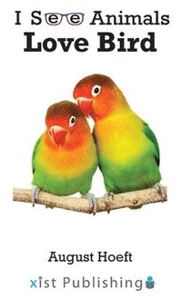 bokomslag Love Bird