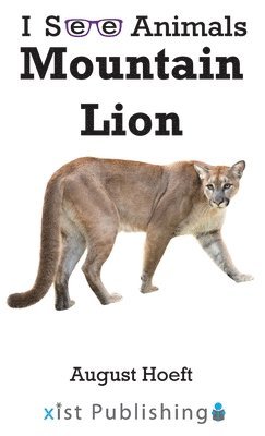 Mountain Lion 1