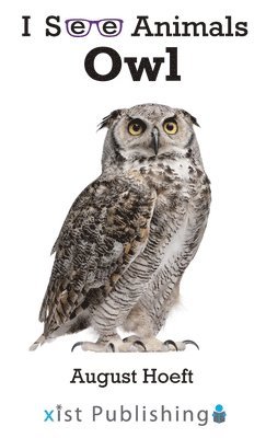 bokomslag Owl