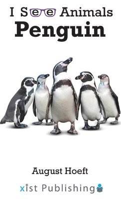 Penguin 1