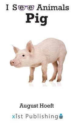 Pig 1